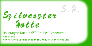 szilveszter holle business card